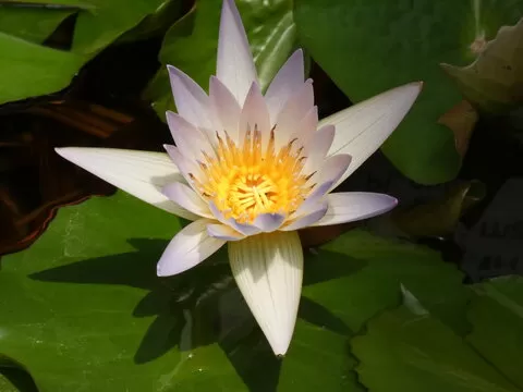 沉浸式体验